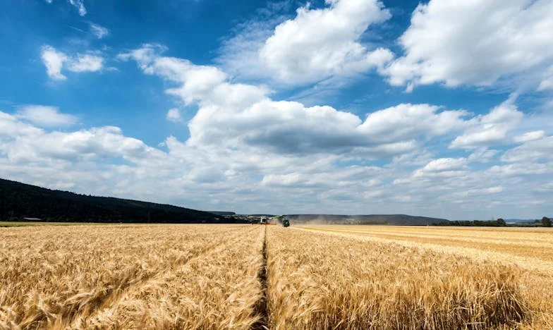 "Dlaczego Nikt do Mnie Nie Zadzwonił?" - Pyta Moja Teściowa z Żalem