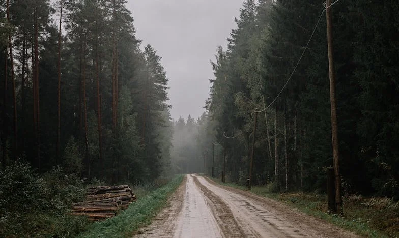 "Moja Siostra Wysłała Swojego Syna, aby Zamieszkał ze Mną na Wsi. Żałowałam, że Powiedziałam Tak."